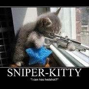 SierraOneOneMeow