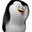 Group Avatar