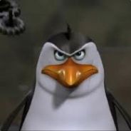 HarryBo