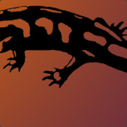 Salamander