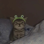 FroggyFeet