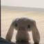 r4bbit's avatar