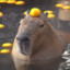 Troll Capybara 🎮
