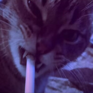 Dämonische Katze