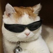 catzzzilla