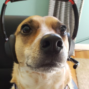 kellerdog