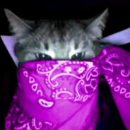 JustAV713᠌᠌᠌᠌᠌᠌