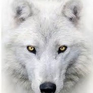 white wolf and Gun