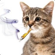 The Catnip Dealer avatar