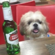 Bolotinha™