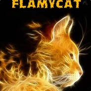 FlamyCat