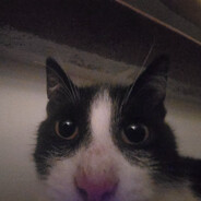 Mati
