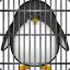 Convicted Pingu