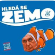 Zemo🌍