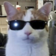 store avatar