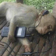 Tåpe (Newport Longs)