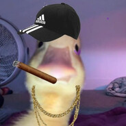 ♡𝕗𝟙𝕖𝕤𝕥ℝツ