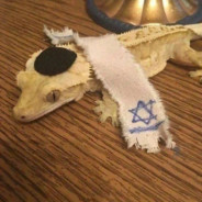 ArteleriPanzerbeobachtungswagen