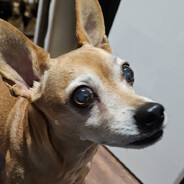 Dakota