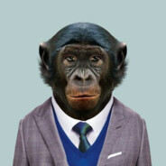 Monkey developer