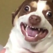 Mupstun