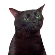 JackTheCatLmao