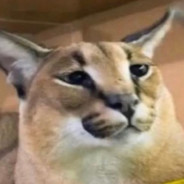 Cabostein