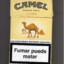 camel