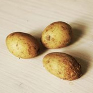 SpudLord