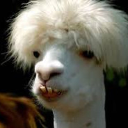Llama