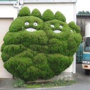 Buisson en T-max