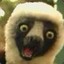 zoboomafoo