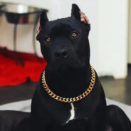 CharFlexSkrrrtt's Avatar