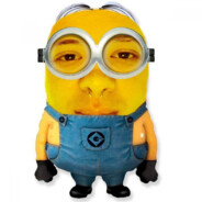 Anik