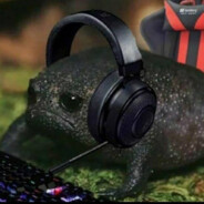 WajsiniO