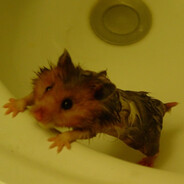 Gilbert
