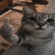 ZmjjQQ