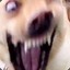 Lopushko
