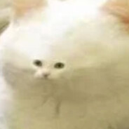 stinkychou