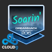 Soarin's Avatar