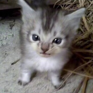 Kenny...