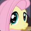 Fluttershy