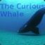 TheCuriousWhale