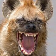 Hyena