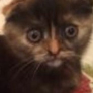 Bukilan .(-.-)...zzZ 's avatar