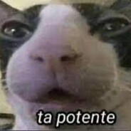 gbtavarezz