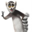 King Julien