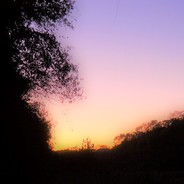 BuzzyFarm