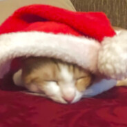 нолік рдмер нолік рдмер