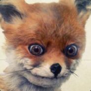 foxRubick's Avatar